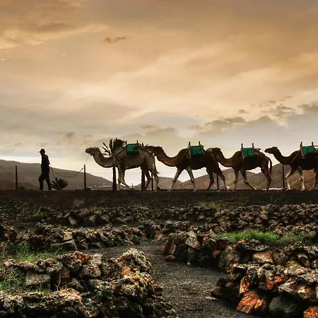 Home2book Charming Seashell Beachview Apartament