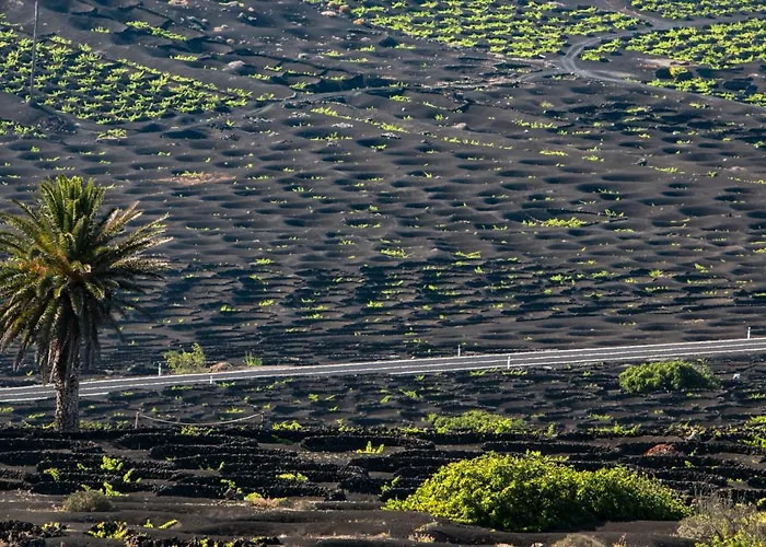 Home2book Charming Seashell Beachview Playa Honda (Lanzarote)