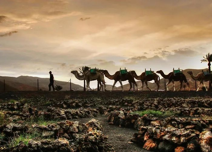 Home2book Charming Seashell Beachview Διαμέρισμα